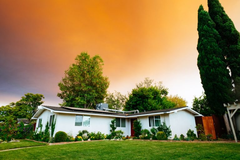 The Art of Home Decor: Balancing Luxury and Affordability